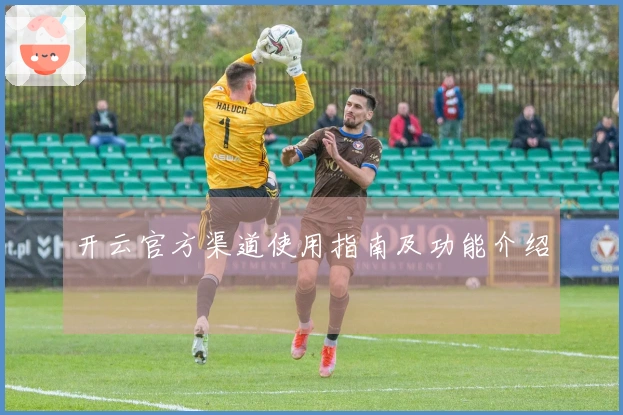 开云官方渠道使用指南及功能介绍
