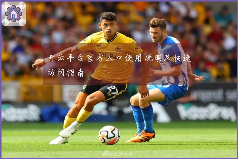 开云平台官方入口使用说明及快速访问指南